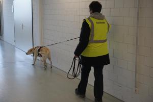 Indoor Trailen auf glatten Fussböden