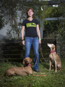 SHZ Dog-8825